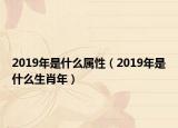 2019年是什么属性（2019年是什么生肖年）