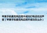 苹果手机麦克风启用不成功打电话也没声音（苹果手机麦克风启用不成功怎么办）