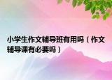 小学生作文辅导班有用吗（作文辅导课有必要吗）