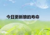 今日更新狼的寿命