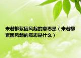 未若柳絮因风起的意思是（未若柳絮因风起的意思是什么）