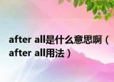 after all是什么意思啊（after all用法）
