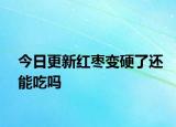 今日更新红枣变硬了还能吃吗