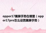 oppor17黑屏手势在哪里（oppor17pro怎么设置黑屏手势）