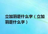 立加羽是什么字（立加羽是什么字）