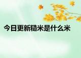 今日更新糙米是什么米