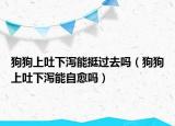 狗狗上吐下泻能挺过去吗（狗狗上吐下泻能自愈吗）