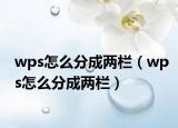 wps怎么分成两栏（wps怎么分成两栏）