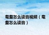 耄耋怎么读音视频（耄耋怎么读音）