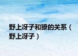 野上冴子和獠的关系（野上冴子）