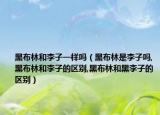 黑布林和李子一样吗（黑布林是李子吗,黑布林和李子的区别,黑布林和黑李子的区别）