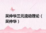 吴仲华三元流动理论（吴仲华）