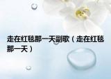 走在红毯那一天副歌（走在红毯那一天）