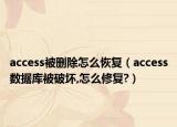 access被删除怎么恢复（access数据库被破坏,怎么修复?）