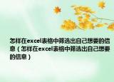 怎样在excel表格中筛选出自己想要的信息（怎样在excel表格中筛选出自己想要的信息）