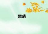 黑哨