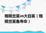 格陵兰鲨vs大白鲨（格陵兰鲨鱼寿命）