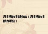 月字旁的字都有啥（月字旁的字都有哪些）