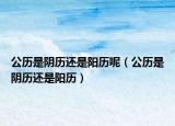 公历是阴历还是阳历呢（公历是阴历还是阳历）