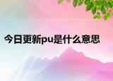 今日更新pu是什么意思