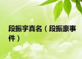 段振宇真名（段振豪事件）