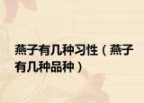 燕子有几种习性（燕子有几种品种）
