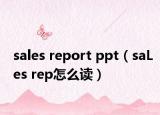 sales report ppt（saLes rep怎么读）