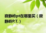 寂静岭pt在哪里买（寂静岭P.T.）