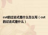 cut的过去式是什么怎么写（cut的过去式是什么）