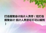 打击报复会计统计人员罪（犯打击报复会计 统计人员罪可不可以缓刑）