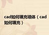 cad如何填充墙体（cad如何填充）