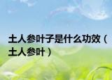 土人参叶子是什么功效（土人参叶）