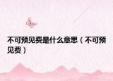 不可预见费是什么意思（不可预见费）