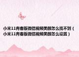 小米11青春版微信视频美颜怎么找不到（小米11青春版微信视频美颜怎么设置）