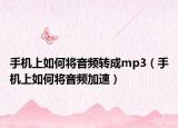 手机上如何将音频转成mp3（手机上如何将音频加速）