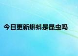 今日更新蝌蚪是昆虫吗