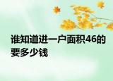 谁知道进一户面积46的要多少钱