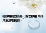 错缘电视剧简介（姻差缘错 隋抒洋主演电视剧）