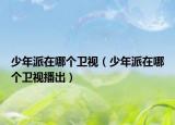 少年派在哪个卫视（少年派在哪个卫视播出）