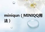 miniqun（MINIQQ用法）