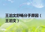 王泊文舒畅分手原因（王泊文）