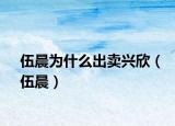 伍晨为什么出卖兴欣（伍晨）