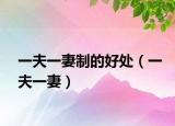 一夫一妻制的好处（一夫一妻）
