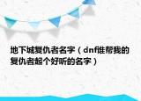 地下城复仇者名字（dnf谁帮我的复仇者起个好听的名字）