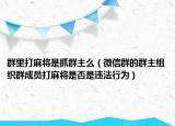 群里打麻将是抓群主么（微信群的群主组织群成员打麻将是否是违法行为）
