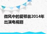 微风中的爱鄂翁2014年出演电视剧