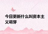 今日更新什么叫资本主义萌芽
