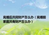 离婚后共同财产怎么办（离婚前家庭共有财产怎么办）