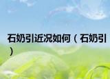 石奶引近况如何（石奶引）