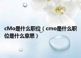 cMo是什么职位（cmo是什么职位是什么意思）